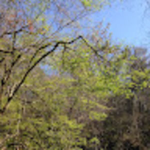 Meet your Posher, Alana